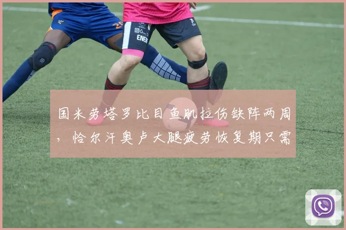 国米劳塔罗比目鱼肌拉伤缺阵两周,恰尔汗奥卢大腿疲劳恢复期只需五天__br_
